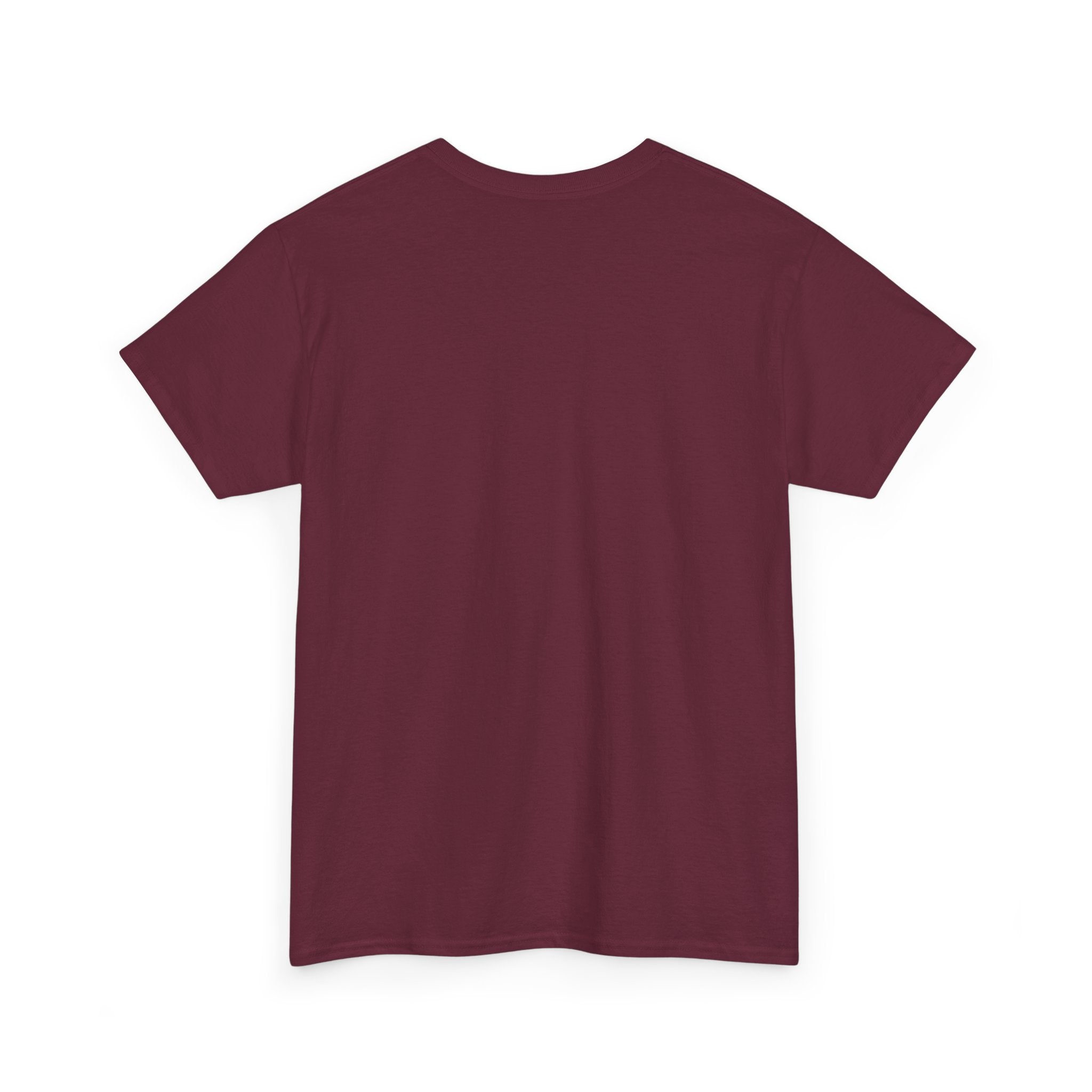 Unisex Veteran's Day Tee, Great for Independence Day, Patriotic Gift, Memorial Day, Flag T-Shirt, Comfort for All Celebrations